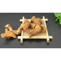 New product Wholesale alpinia galangal with competitive price